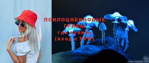 бошки Верея