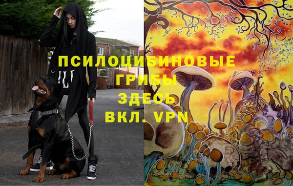 бошки Верея