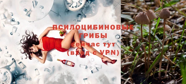 MDMA Premium VHQ Бородино