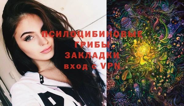 бошки Верея