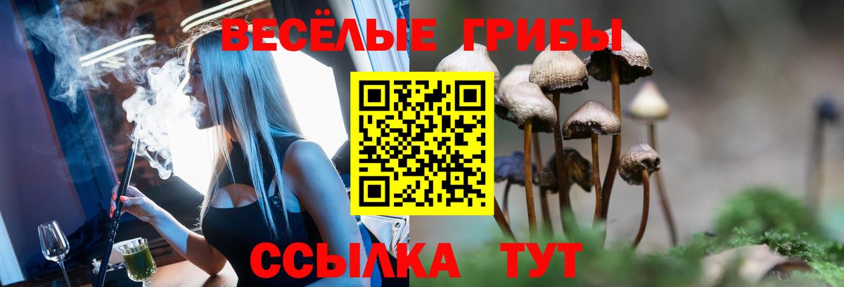 Галлюциногенные грибы Magic Shrooms  Вход с VPN  что такое наркотик  Выборг 