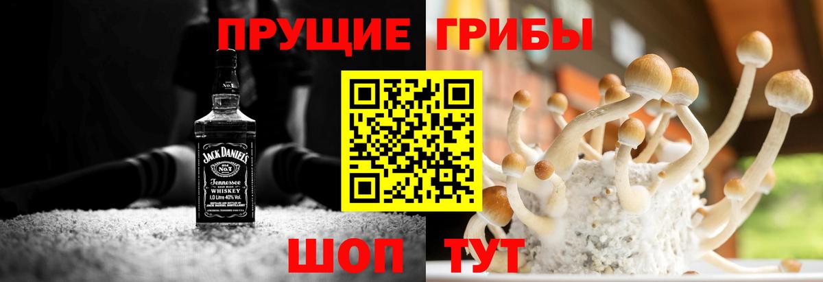 Галлюциногенные грибы GOLDEN TEACHER Выборг